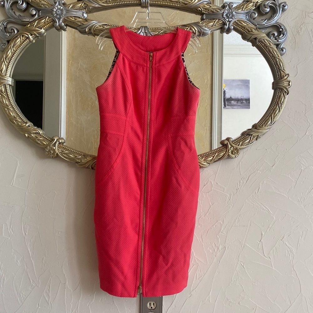 Pink muse dress